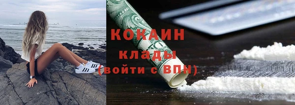 сатива Абаза