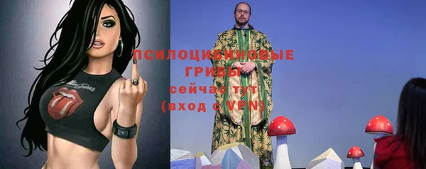 молекула духа Приозерск