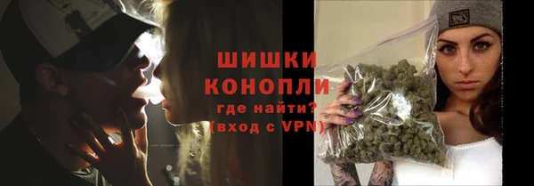 сатива Абаза