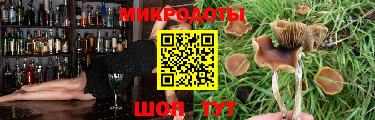 Галлюциногенные грибы Cubensis  Псилоцибиновые грибы мухоморы  купить  цена  Вход с VPN  Алексин 