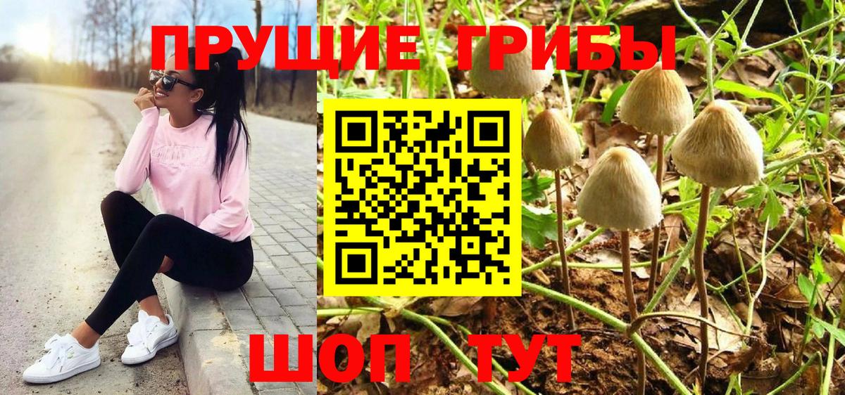 Галлюциногенные грибы Magic Shrooms Алексин